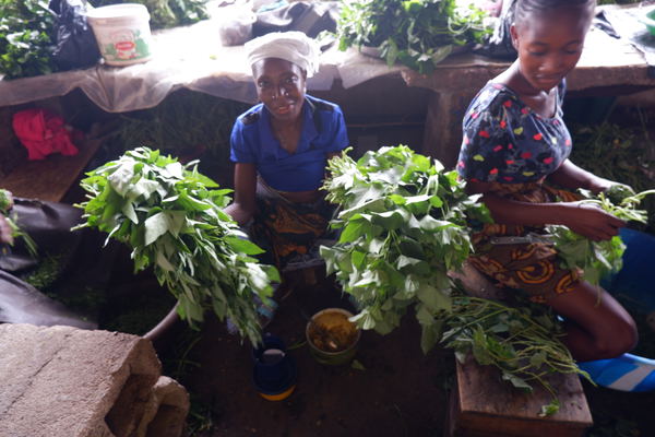 Voinjama Market Day