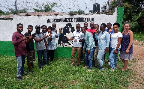 Wild Chimps Foundation