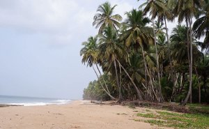 Discover Beaches in Liberia