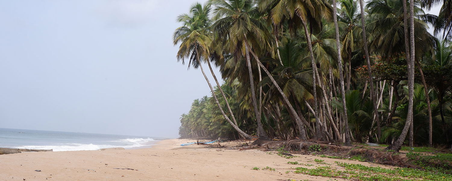 Beaches