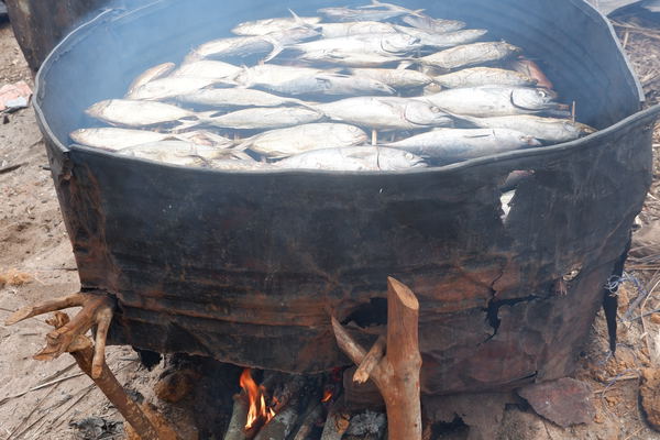 Sembehun Fishing Camp