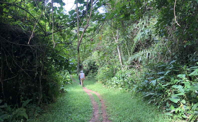 Sapo National Park, Liberia