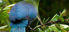 Save 25% on the normal rates