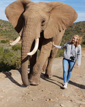 Indalu Elephant Experience
