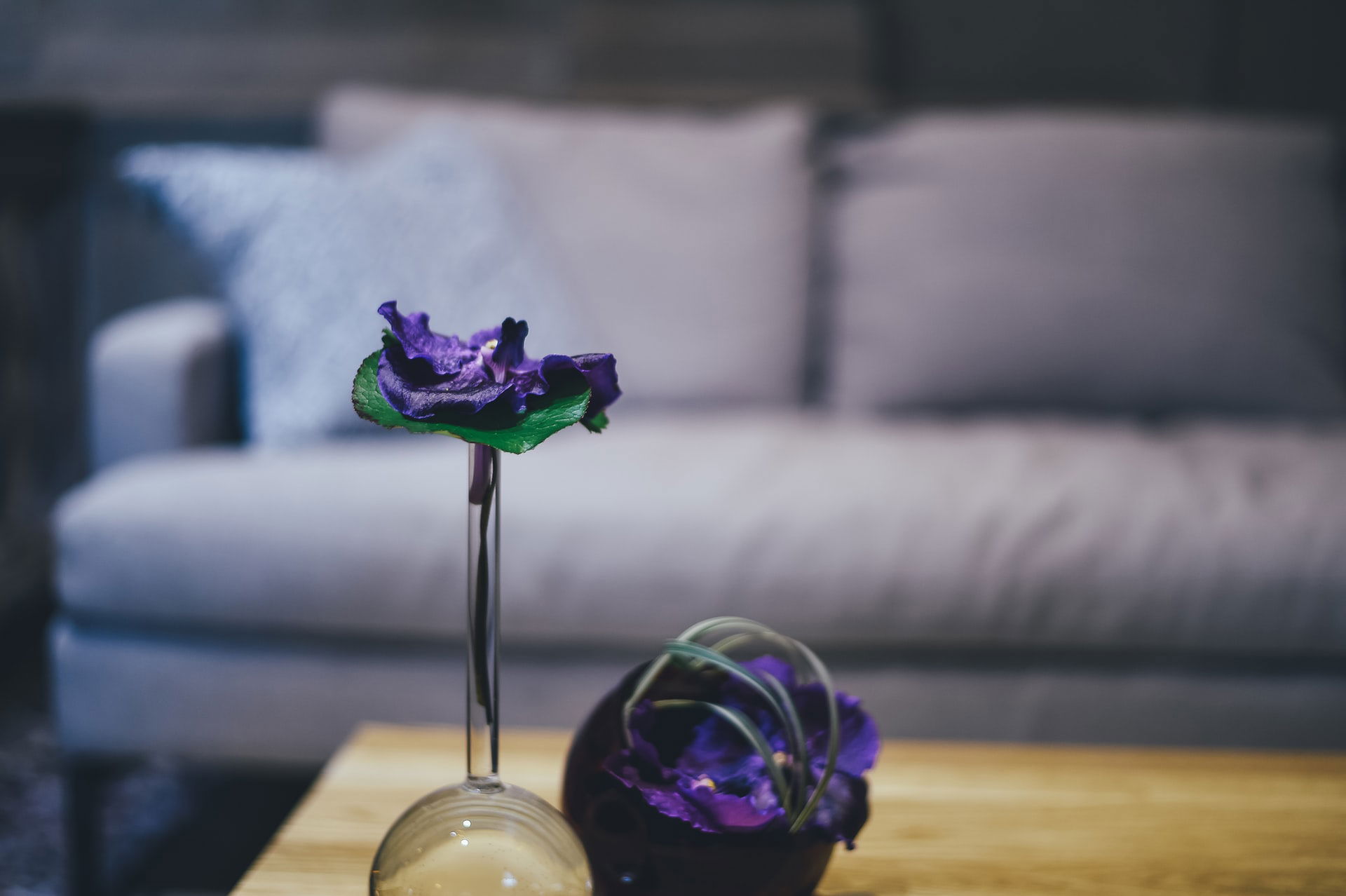 Placeholder. Photo by Crew on Unsplash