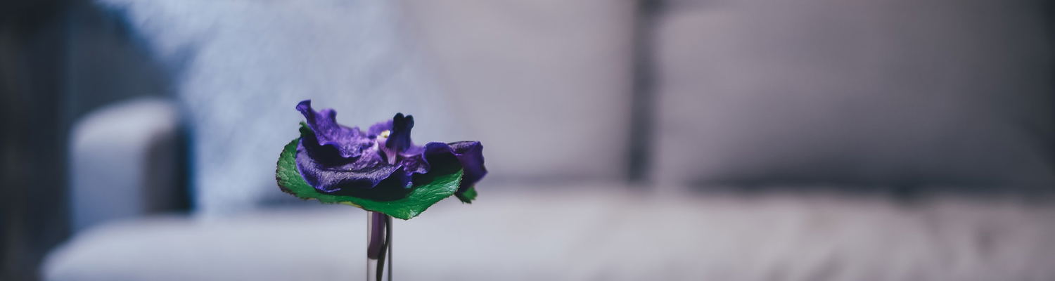 Placeholder. Photo by Crew on Unsplash