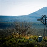Karoo landscape. Photo by Juanita Swart on Unsplash juanita-swart-paQFGWL0PZ4-unsplash
