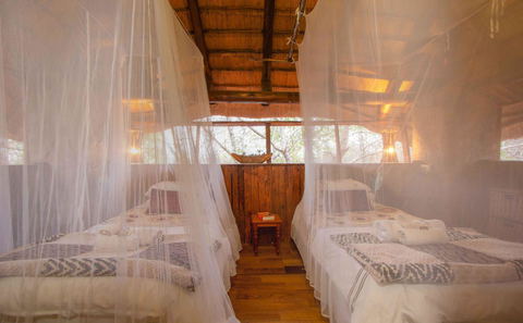 Safari Room