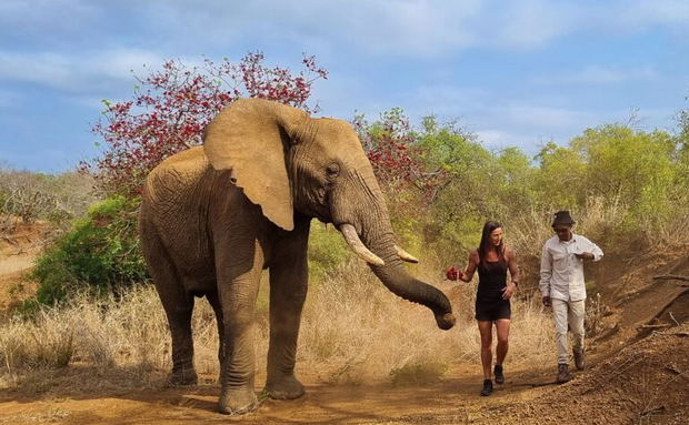 Sonell, Amos and Tswale the elephant Sonell, Amos and Tswale the elephant