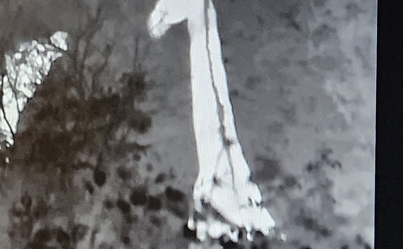 Thermal Giraffe
