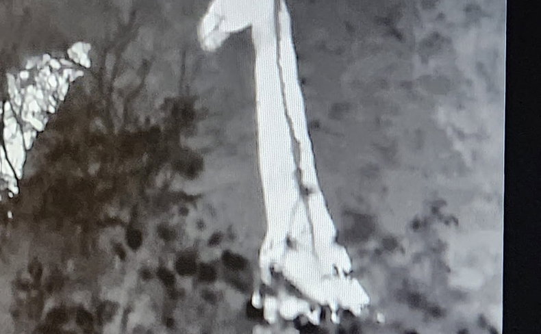 Thermal Giraffe
