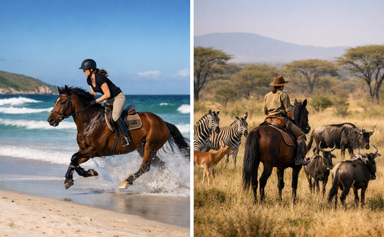 Horse Safari Week South Africa – Ride with Wildlife