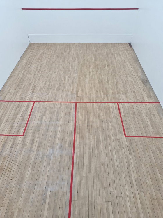 Squash Court on Property