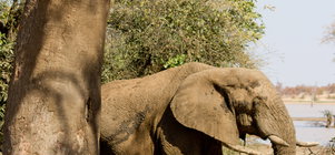 Kruger Stopover Deal