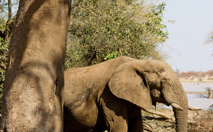 Kruger Stopover Deal