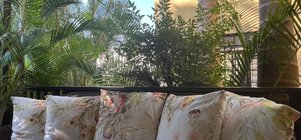 Special Midweek Rate. Monday - Thursday  R850.00 per room per night