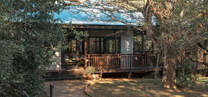 EARLY JANUARY AND FEBRUARY  2026 SPECIAL 