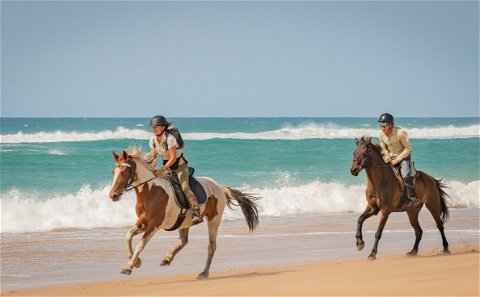 Horseriding on the beach