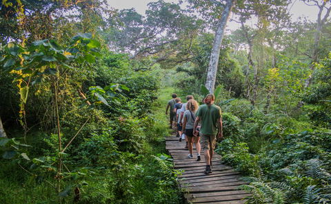 bush walk, walking trial in the Isimangaliso Park