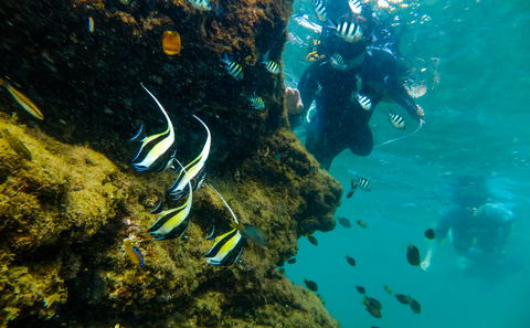 snorkelling at Cape Vidal