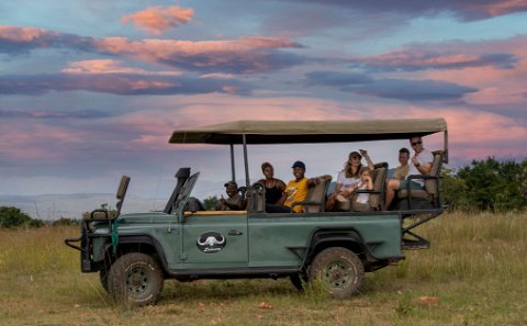 Game Drives