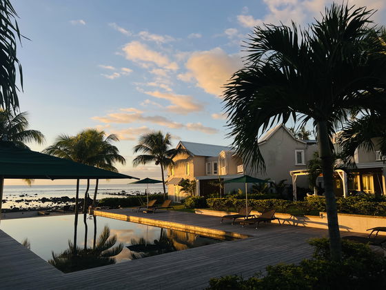 White Oaks pool golden hour
