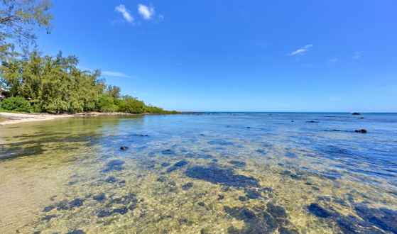 Rocky beach and coral reef shoreline with clear blue water