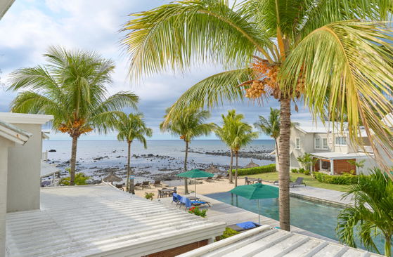 Sunbeds and palm trees next to the beachfront deck