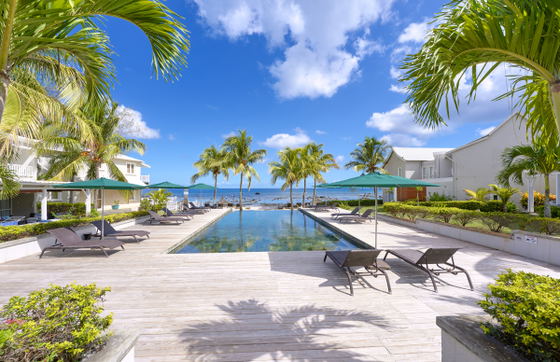 Palm-lined beachfront pathway with ocean view