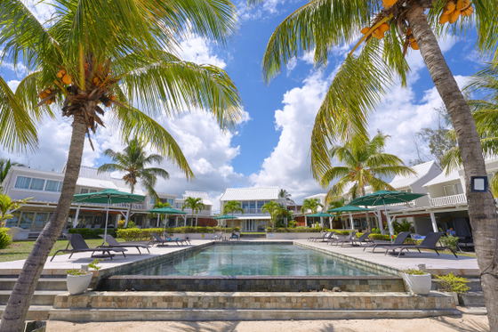 Pool area view tropical trees and ocean views 