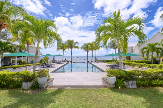 Tropical views of palm trees, ocean views and pool area