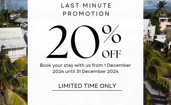 Book for your December stay and save 20% 