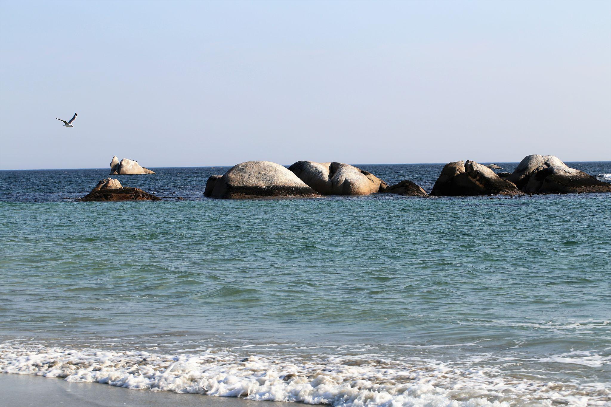 Paternoster