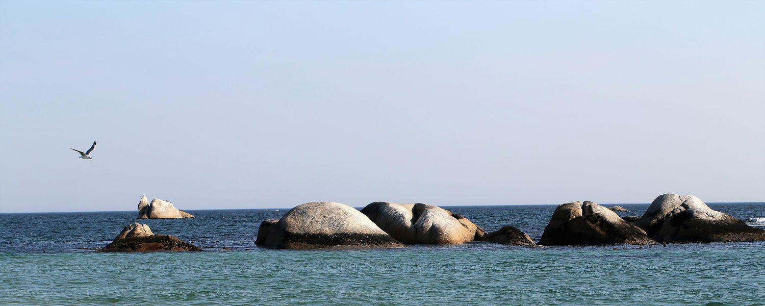 Paternoster
