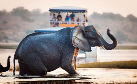 Chobe National Park
