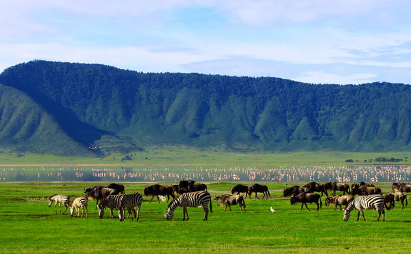 Ngorongoro Crater 