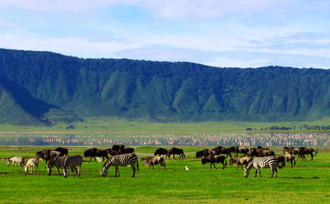 Ngorongoro Crater