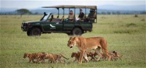 Explore Tanzania in a Private Safari Vehicle