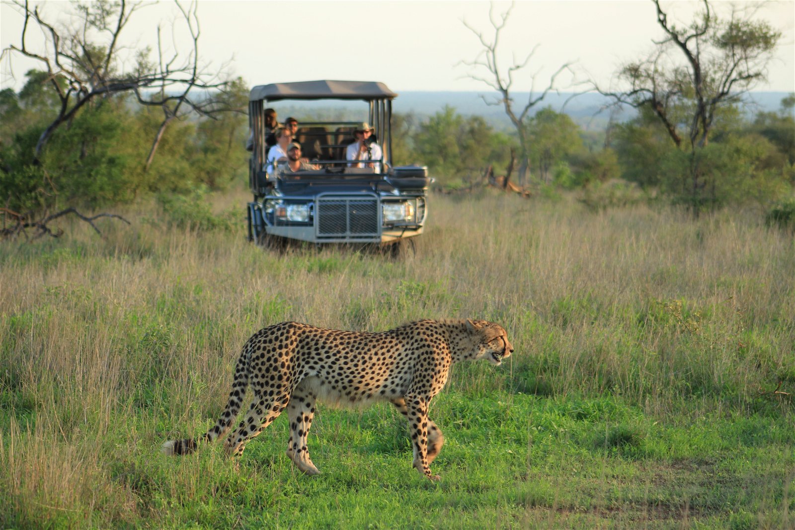 HOW TO TRAVEL WITH US. - Hylton Langley Safaris & Adventures