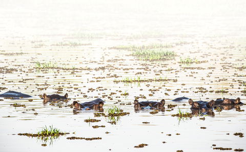 Lake Kariba
