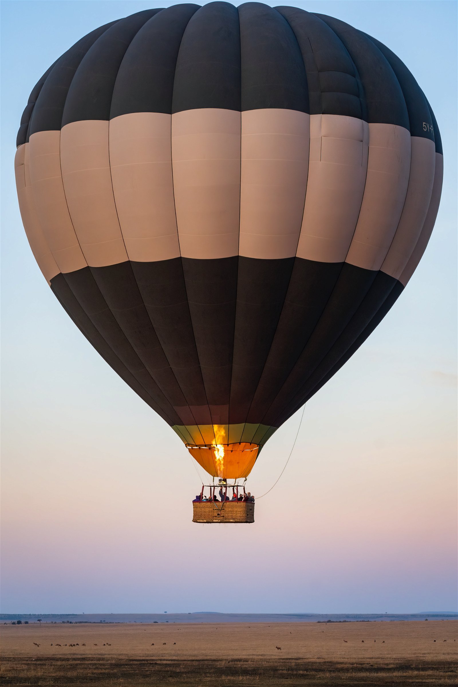Safari from the Sky