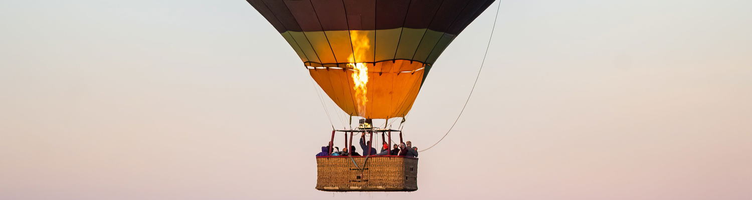 Safari from the Sky