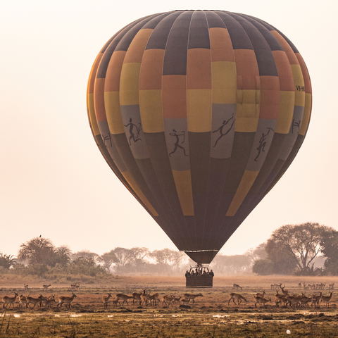 Balloon Safari ©Crookes And Jackson Wilderness Safaris Busanga Bush Camp