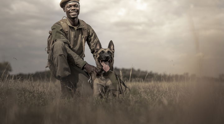 Grumeti Game Reserve. Anti-poaching K9 handler in the field. © Singita
