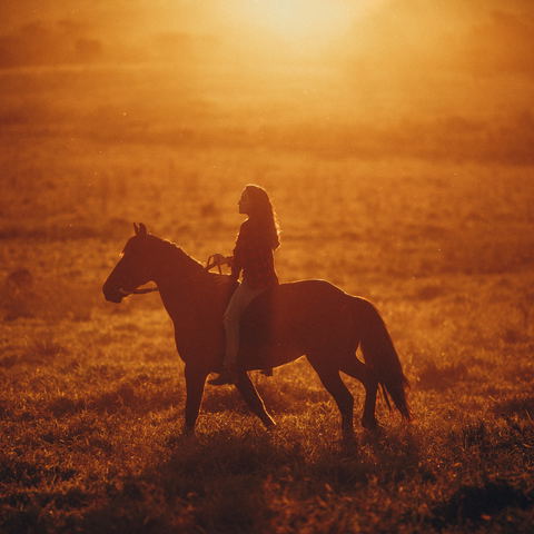 Horse safari.