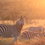 Why Returning to Africa Is Always the Greatest Adventure