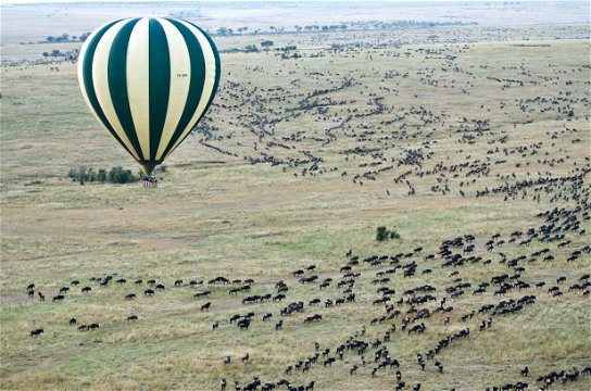 Hot air balloon safari over the great wildebeest migration.