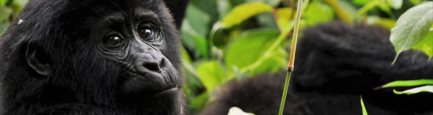Rwanda