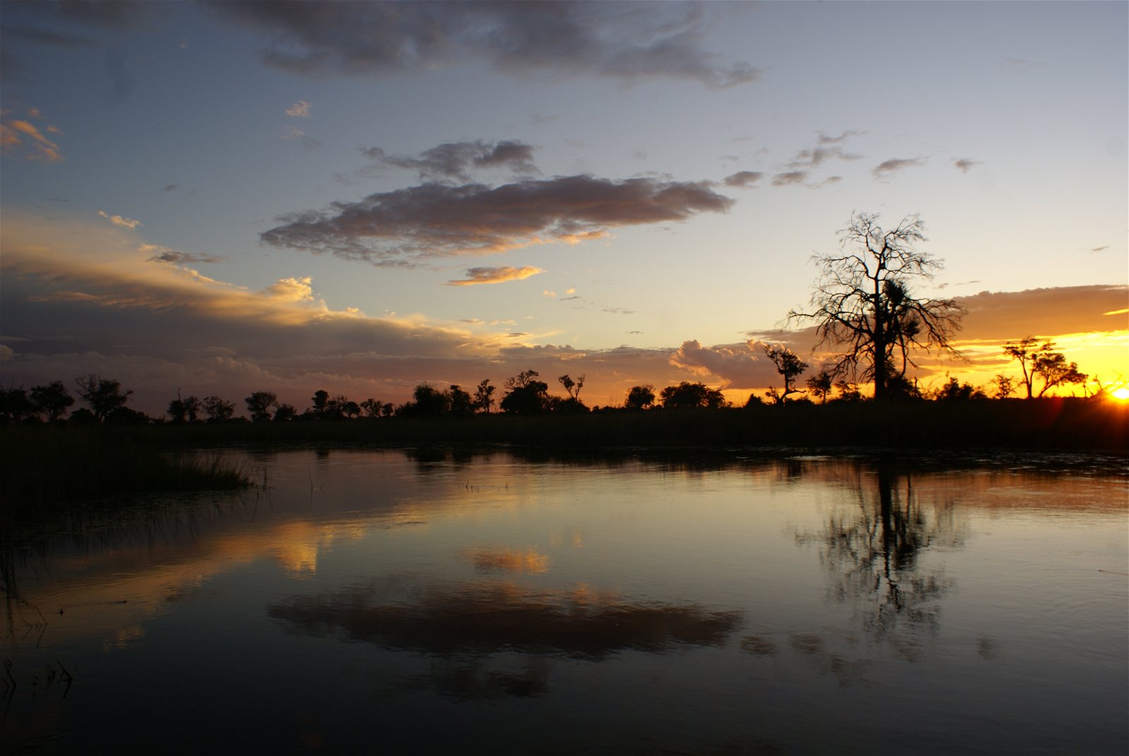 Safari From The Water - Hylton Langley Safaris & Adventures