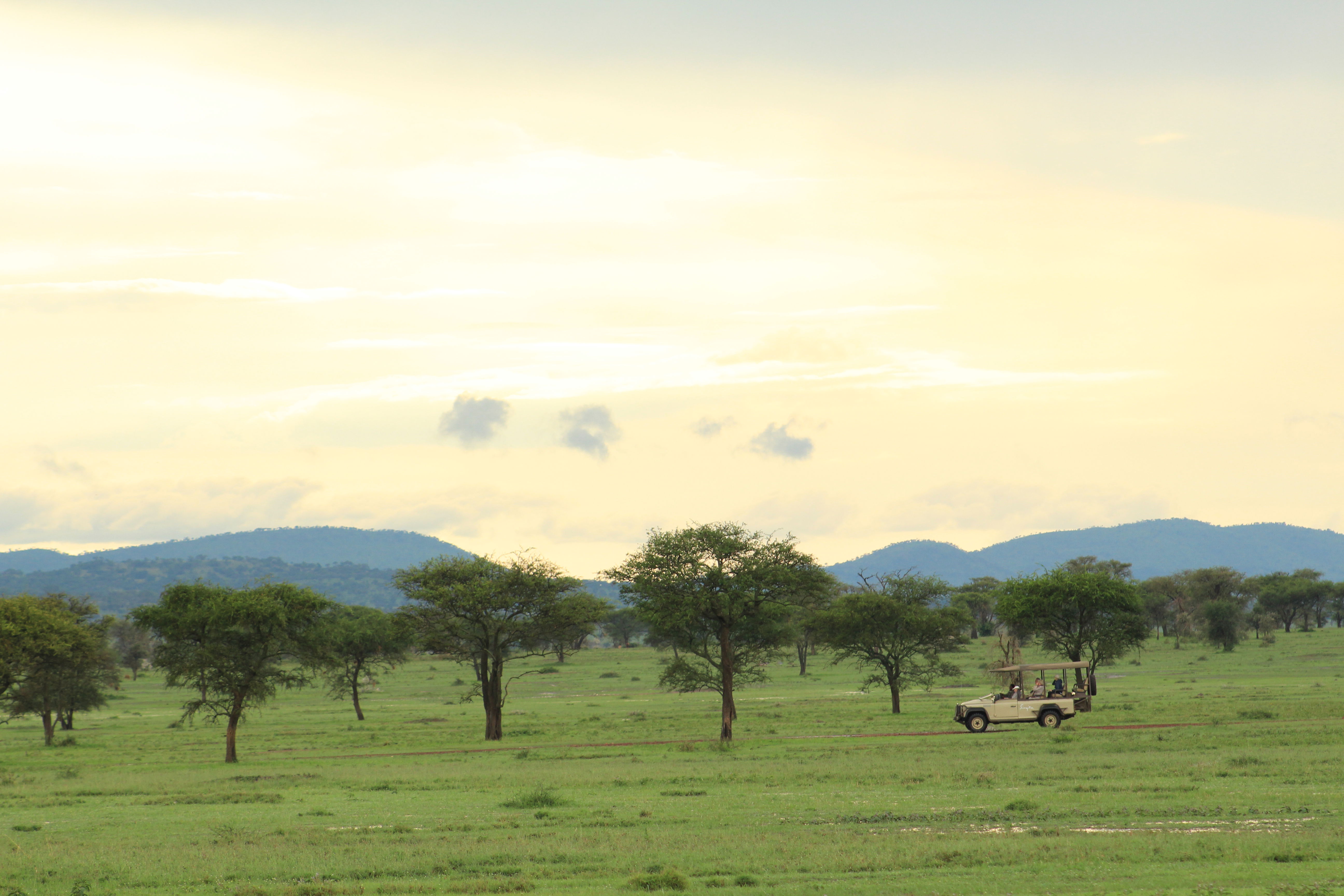 Driving through the vast open plains of Tanzania in a Landrover Safari Jeep.